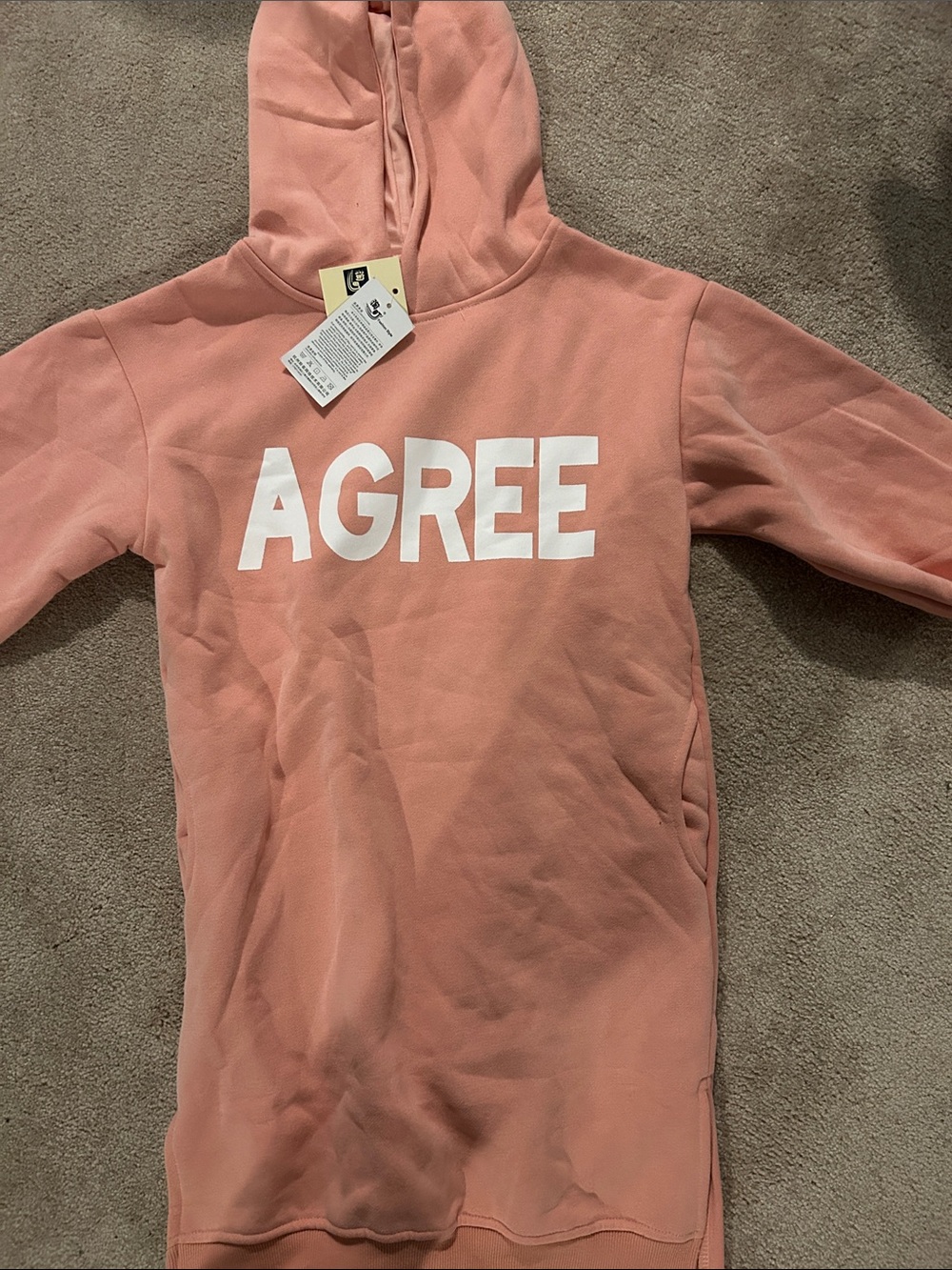 Kids Agree Hooded Sweatshirt in Dusty Pink